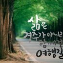 하쿠나마타타 이미지