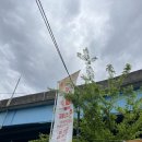 부산 밀축제(밀페스티벌) 후기(5월5일 ~ 5월 6일 ing)