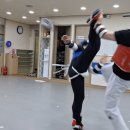 청주성인태권도 이미지