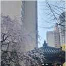 하늘채뉴현대공인중개사사무소 | 내 집 마련, 전주아파트 거래가 고민된다면? 현대공인중개사만의 특별 상담 노하우 소개