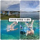 동동카워시 | 일본 오키나와 푸른동굴 스노쿨링 투어 여행 기록