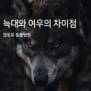 영등포 동물병원 이미지