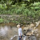 신털뫼1 | 서울근교계곡 양주 신털뫼 장흥유원지맛집 백숙