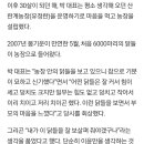 알찬유정란농장 이미지