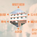 미래연합의원 네이버블로그
