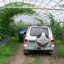 명천농장 이미지