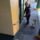 리라초등학교 이미지