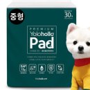 욜로홀로(yolohollo) 이미지