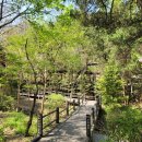 굴밤나무집 | 서울 안산(무악산) 등산코스 및 지도 주말 등산 후기