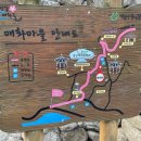 광양중동초등학교 | 대구여행자클럽_광양매화축제, 구례산수유봄축제 코스 당일치기
