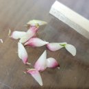 건조창고있는 풍경 이미지