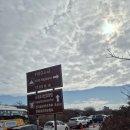 1100 | 1월 제주여행 설산을 보고 싶다면? 제주 1100고지습지, 존자암지 후기