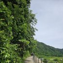 인제 Daum카페