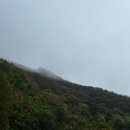 10월 2주: 영남알프스 간월재/마리오아울렛 몽벨/가을 즐기기!