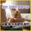 서원축산 | 대전 고양이 장례식장 걱정 끝내기│대전 반려묘 장례 비용부터 후기, 추천 장소까지 완벽 정리