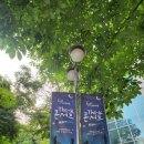 데이브레이크 콘서트 | [일상] 2025 THE K 콘서트 가수 윤하와 데이브레이크 공연 후기