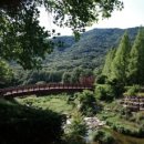 평택돌봄사회서비스센터(주) 정책브리핑