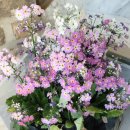 백룡어린이집 이미지