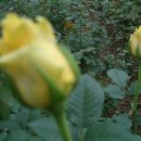 칠량농장 이미지