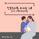 시엘토스트 | [산후조리후기]시엘산후조리원 8일차 (12박13일)