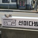 선미다방