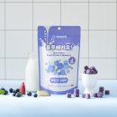 멍멍이 | [내돈내산] 입 짧은 강아지 사료 거부 해결템! 멍멍이대학 산양유 블루베리 트릿 솔직 후기