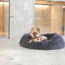 논현유치원 이미지