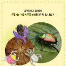 평택고덕유치원 이미지