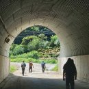 월문4리 이미지