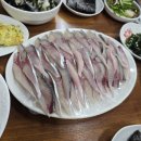 【강의 후기】 국세공무원교육원 양도세 전문가 과정 후기(고등어회 전문 "자연수산")