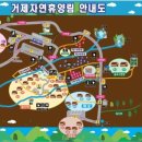 거제자연휴양림 이미지