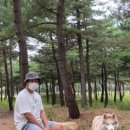 웨스트우드홍천점 | 21.09.02 (목) 네이버 애드 포스트 / 조건, 승인 후기