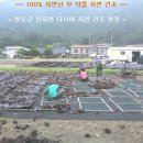 완도건어물 이미지
