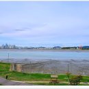 배곧생명공원 이미지