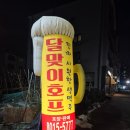 &lt;달맞이 호프&gt; 후기 | 동탄 능동 동네 술집, 시원한 생맥주와 안주가 맛있는 집