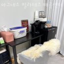 아그네스필라테스