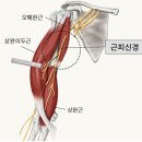 엠스타일 이미지
