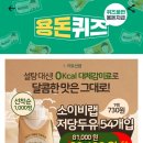 랩코드비 이미지
