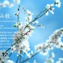 재단법인 참선재단 이미지