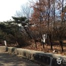 서울양천고성지 이미지