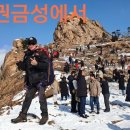 고목 이미지