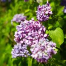 으뜸체육공원 이미지