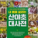산야초 이미지