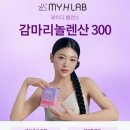 다문화건강랜드