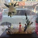 매일농원 | ［대구 동구］대구 꽃집 화분 잘하는 "제주농원"후기