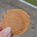 일산오토 | 2026 캠핑 박람회 일산 킨텍스 캠핑&amp;피크닉페어 PV5 오토캠핑 후기