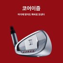 522 | 광교 골프샵 다이와 온오프 CBT522 남성 아이언 시타 후 구매 후기