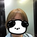 신세계미용실 네이버블로그