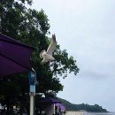 동막3 2소교량 | 강화도 동막해수욕장 취사 가능, 캠핑 이용 요금, 주차 정보 등 이용 꿀팁