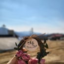 캘리그라피 디자인 과정 이미지